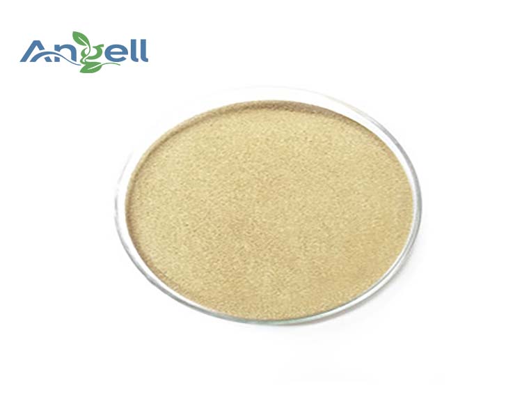  Bacillus Probiotics Bacillus subtilis is a microorganism for animal gut health