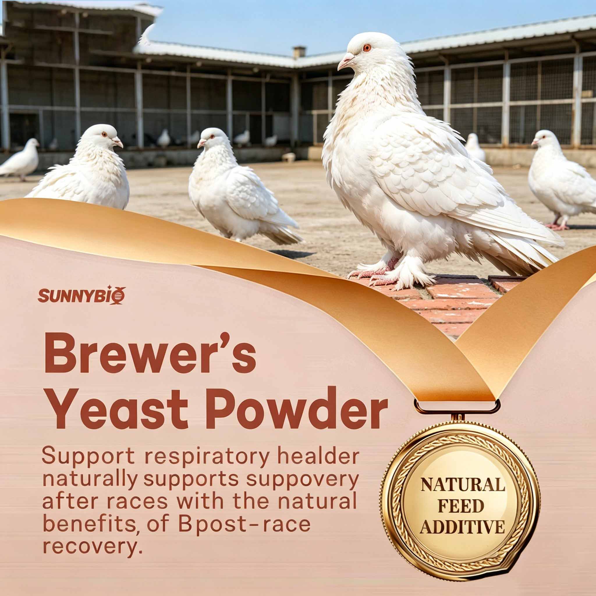 Pigeon specific beer yeast, probiotics for pigeons